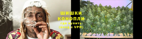 сатива Бронницы