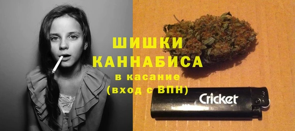 сатива Бронницы